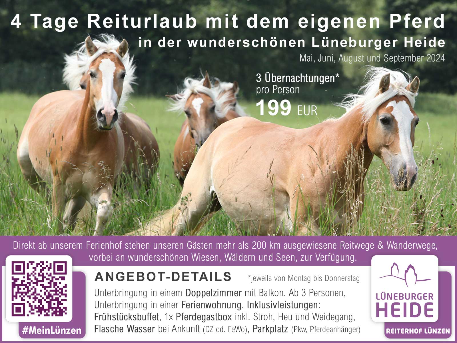 Weitere Infos: 4 Tage Reiturlaub mit dem eigenen Pferd in der Lüneburger Heide