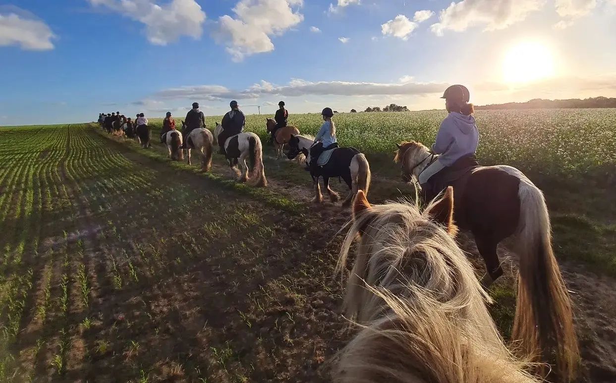 Reiten, Reiturlaub & Reiterferien